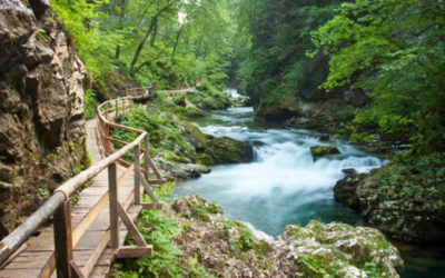 Top 10 Things to do in Slovenia